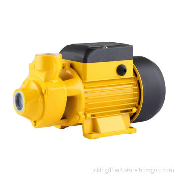 QB60 1hp Home type pressurized water pump